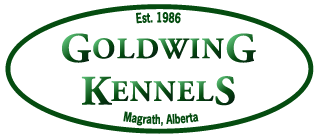 Goldwing Kennels